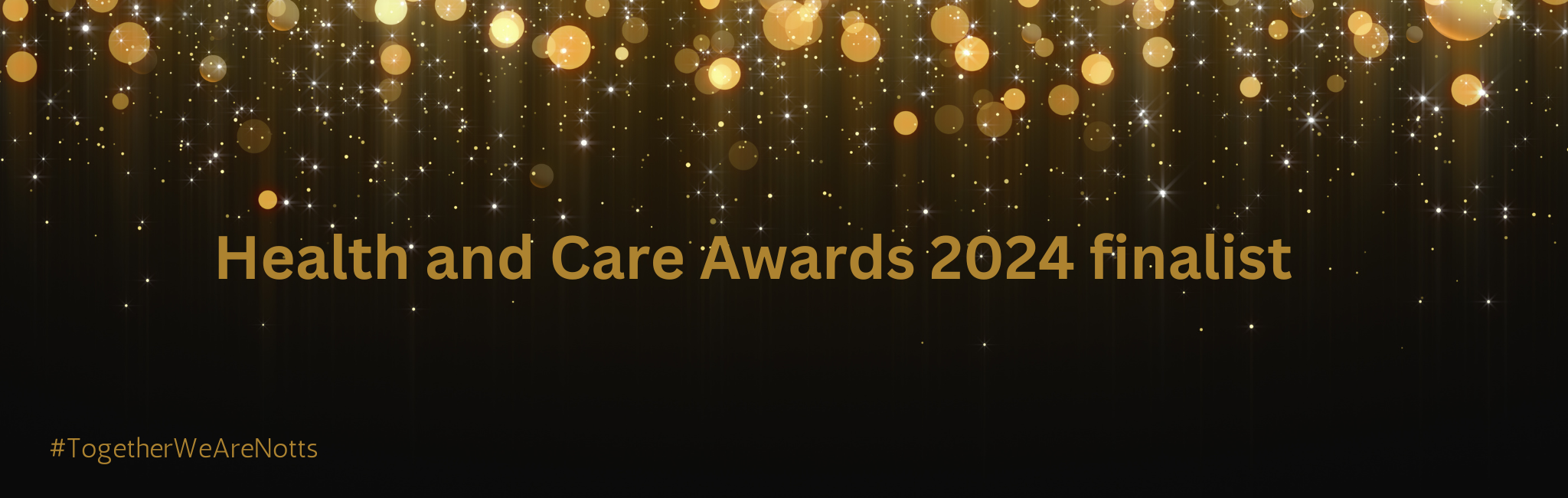 Nottingham and Nottinghamshire Health and Care Awards 2024